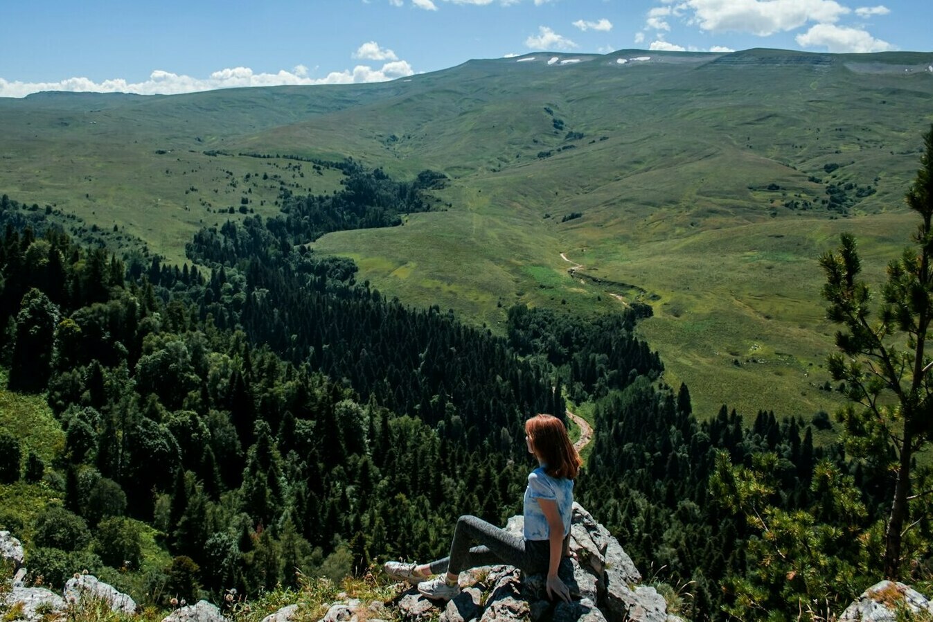 Image alt